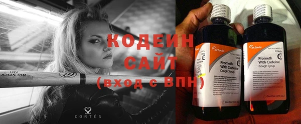 ECSTASY Бородино