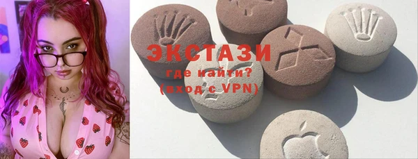 ECSTASY Бородино