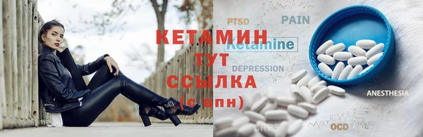 ECSTASY Бородино