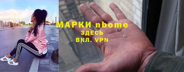 ECSTASY Бородино