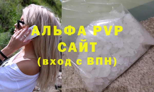 ECSTASY Бородино