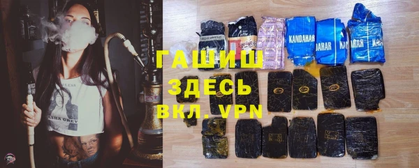 ECSTASY Бородино